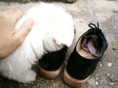 -兴旺渔家