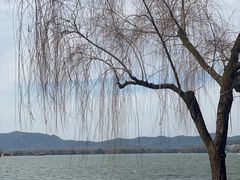 -柳莺湖上·湖景餐厅·江南菜(西湖店)