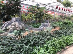 -南宫五洲植物乐园