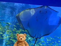 -太平洋海底世界