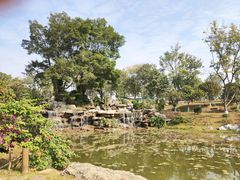 -东莞植物园