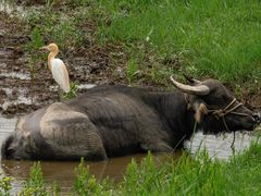-金狮洞国家地质公园