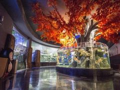 -成都浩海立方海洋公园