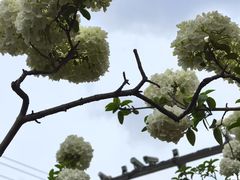 -大龙山(地铁站)