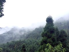 -九峰山