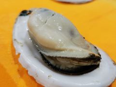 -蚝专家(北滘店)