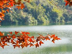 -广州市白云山风景名胜区