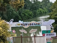 -大湾区中央湿地公园-十九涌