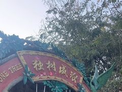 -瑞丽独树成林风景区