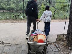 -第五季龙水凤港生态露营农场