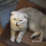 位于小寨东路一又二分之一公寓B座1009 大叔是个爱