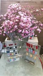 -Summer专业脱毛美容美体美睫工作室