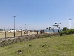 -鹦鹉洲湿地公园