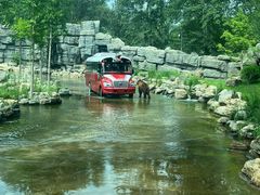 -北京野生动物园