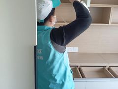 -Liteclear日本进口强效除甲醛检测治理(旗舰店)