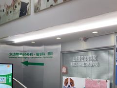 -爱侣宠医·鹦鹉专科·小型哺乳类·异宠专科(灵石路店)