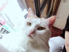 -B.O.M波姆烘焙(凤凰街店)