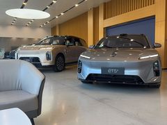 -蔚来体验中心(北京亦庄店)