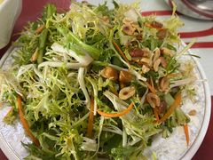 凉拌苦菊-青岛锅贴(四流中路店)