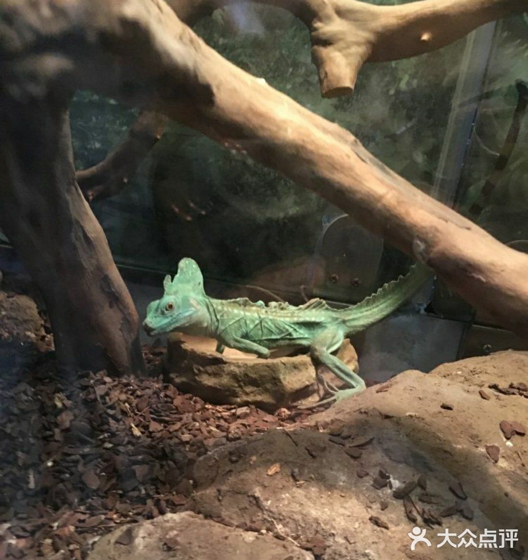 魔都遛娃圣地[胜利]小小动物元