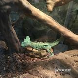 魔都遛娃圣地[胜利]小小动物元