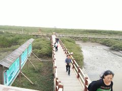 -北海金海湾红树林生态旅游区