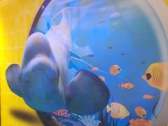 -统一梦时代购物中心