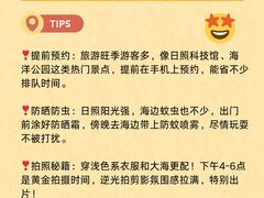 -日照灯塔风景区