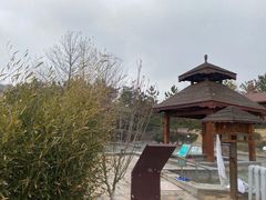 -汤泊温泉度假村