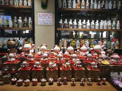 -猫咪博物馆(顶澳仔猫街店)