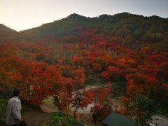 -龙道沟景区