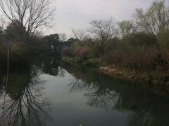 -西溪国家湿地公园