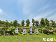 -WE ME 伴山营地·城市露营·团建策划