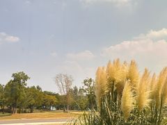 -盘龙城国家考古遗址公园