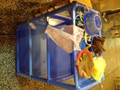 重庆老火锅王(西安北路店)-重庆老火锅王(西安北路店)