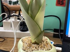 -老乡鸡(武汉光谷南湖时尚城店)