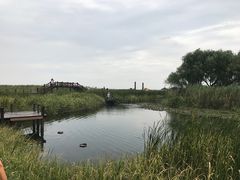 -太湖湖滨国家湿地公园-停车场