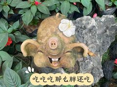 -中国科学院西双版纳热带植物园