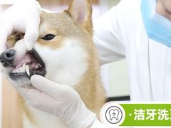 -纳吉亚猫专科动物医院博雅分院