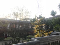 -郫都区农科村景区