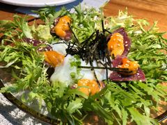 -森味薪火烧•烧鸟居酒屋•日本料理(望京店)
