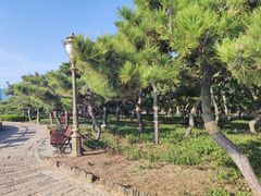 -八大关景区
