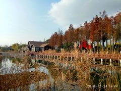 -太湖湖滨国家湿地公园-停车场