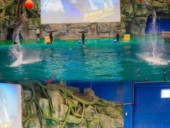 -威海华夏城景区