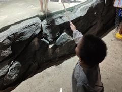 -正佳雨林生态植物园