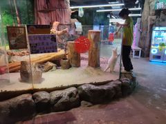 -正佳雨林生态植物园