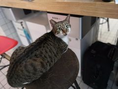 -ID.PHOTO照相馆(嘉里企业中心店)