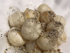 -眉州东坡(清河万象汇店)