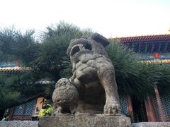 -普陀山风景名胜区-法雨禅寺