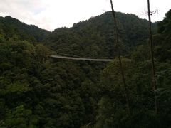 -九龙江国家森林公园